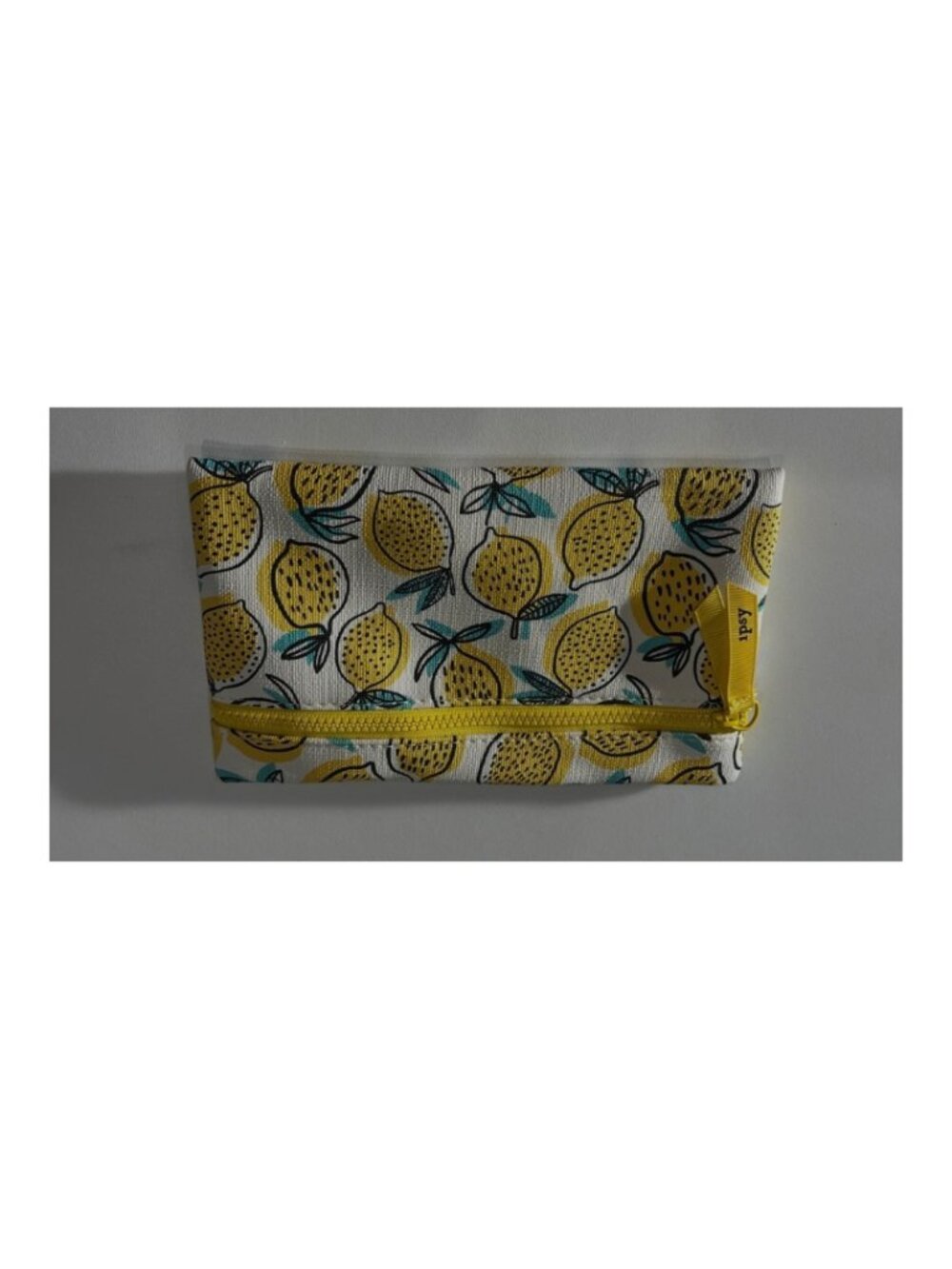 IPSY Cosmetic Pouch